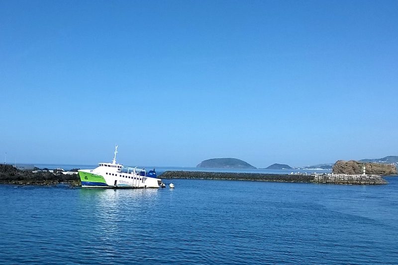 Mestre Simão, by Carlos Luis M C da Cruz