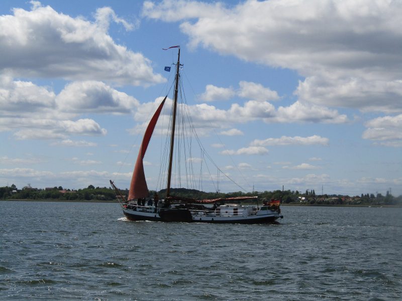 Vertrouwen, by Fiver, der Hellseher