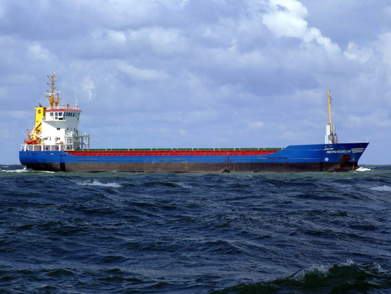 Elena L, by Alf van Beem