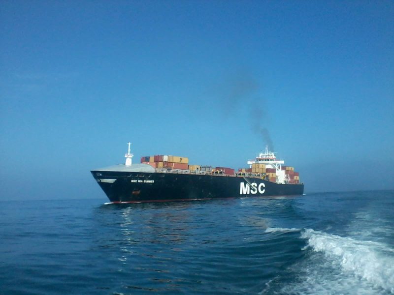 MSC Mia Summer, by Farid mernissi