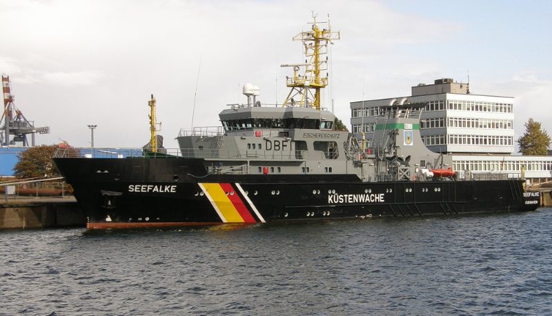 Seefalke, by © Ra Boe / Wikipedia
