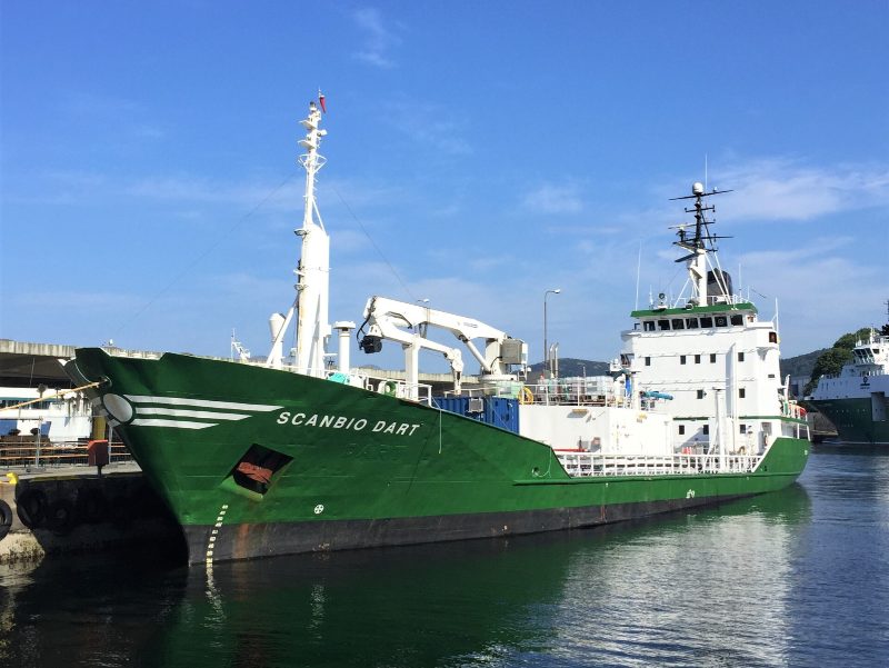 IMO 7423926, by Cavernia