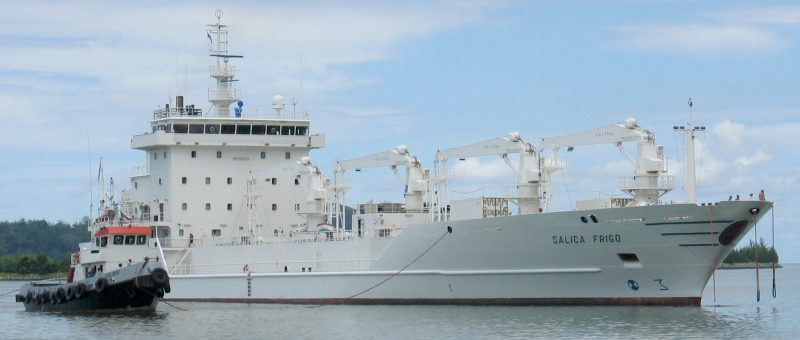 Salica Frigo, by clipper