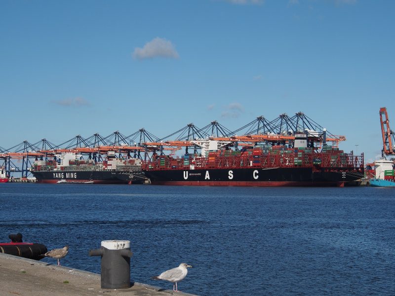 MV Barzan, by Alf van Beem