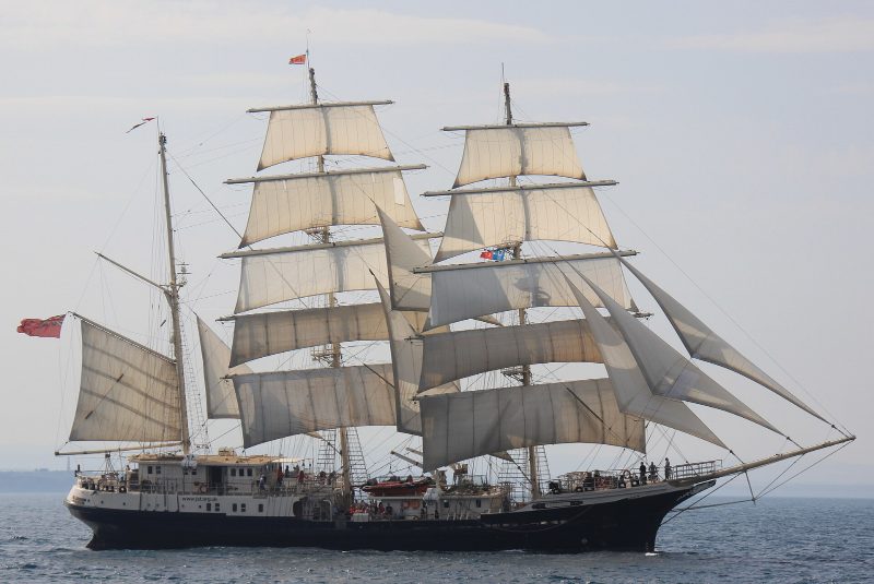 Tenacious, by Patrick Wernhardt
