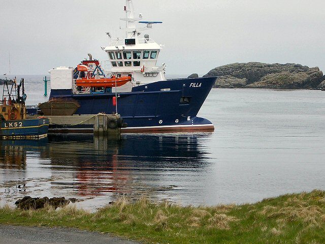 Filla, by Lis Burke
