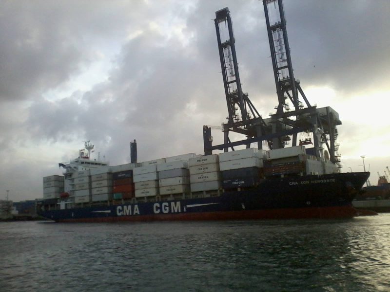 CMA CGM Herodote, by Farid mernissi