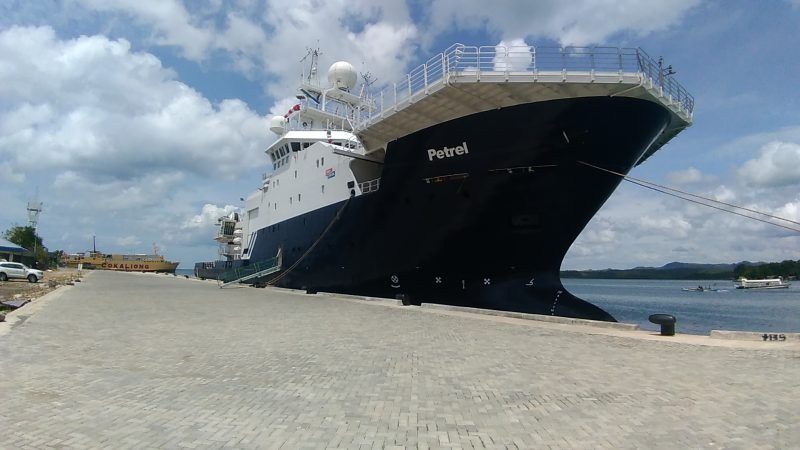 Petrel, by Jake7499
