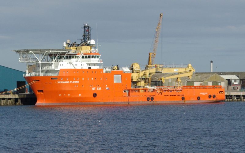 Normand Flower, by Nick