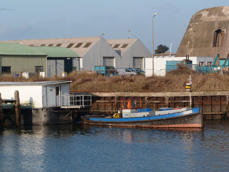 Moos ENI 02321491, by Joost J. Bakker IJmuiden