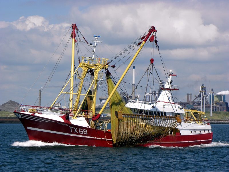 Vertrouwen, by Joost J. Bakker from IJmuiden