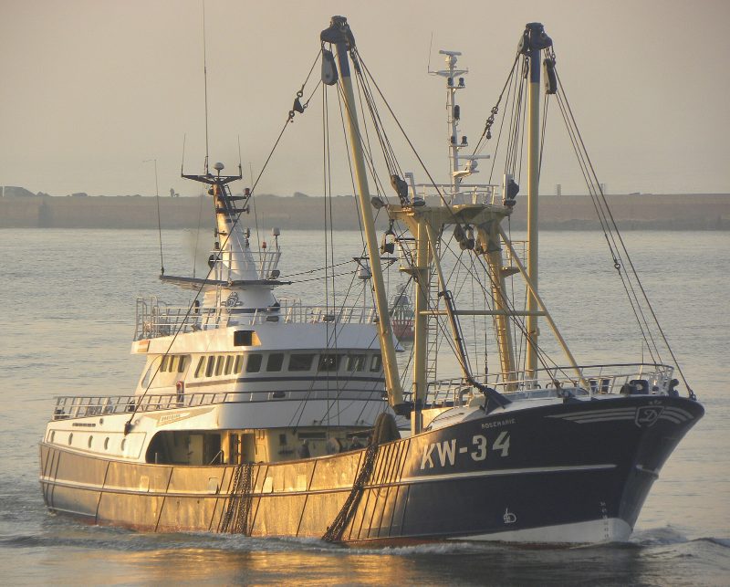 Rosemarie, by Joost J. Bakker from IJmuiden