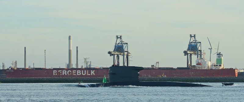 Zr Ms Zeeleeuw, by kees torn