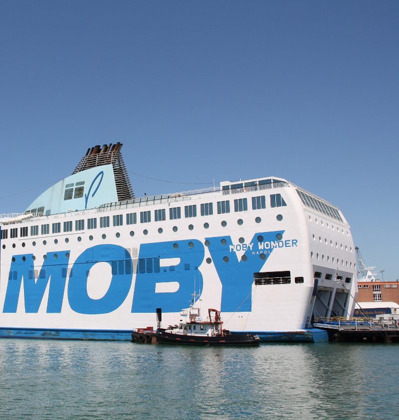 Moby Wonder, by Piergiuliano Chesi