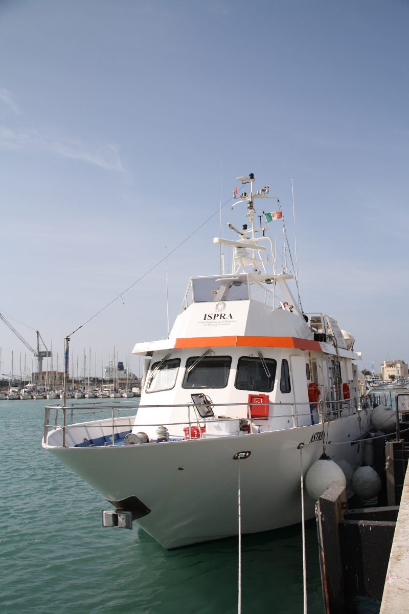 Astrea, by Piergiuliano Chesi
