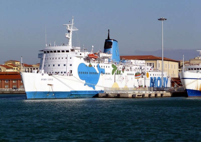 Moby Love, by Lucarelli