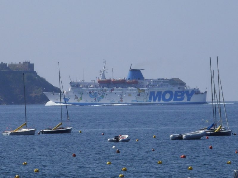 Moby Baby Two, by Valentino1