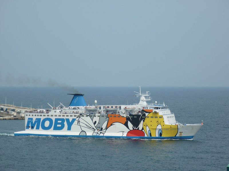 Moby Vincent, by Wingtip