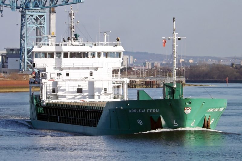 Arklow Fern, by Mark Harkin