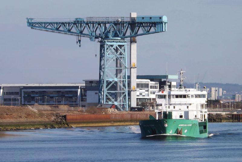Arklow Fern, by Mark Harkin