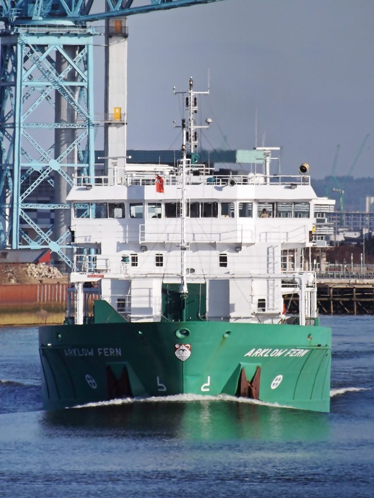 Arklow Fern, by Mark Harkin