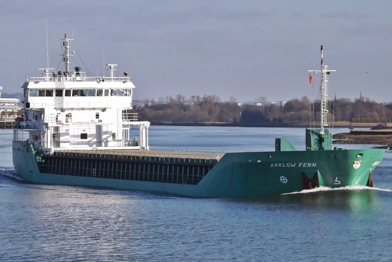 Arklow Fern, by Mark Harkin