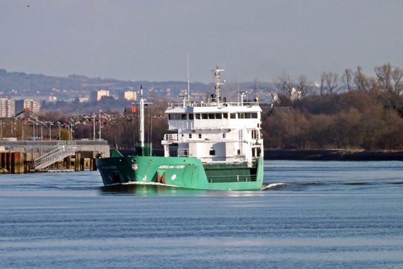 Arklow Fern, by Mark Harkin