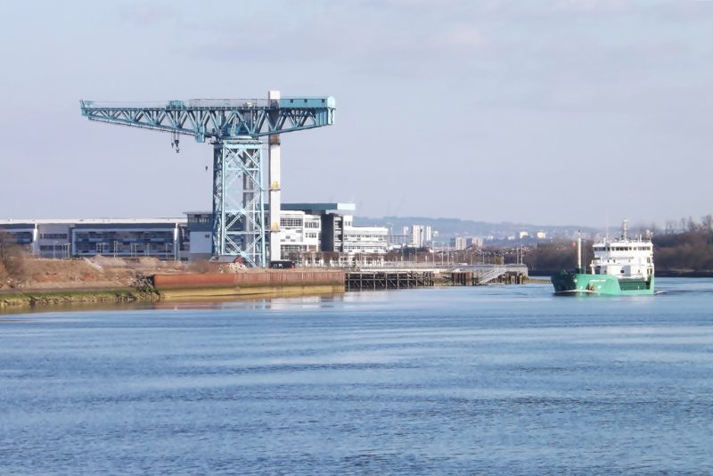 Arklow Fern, by Mark Harkin