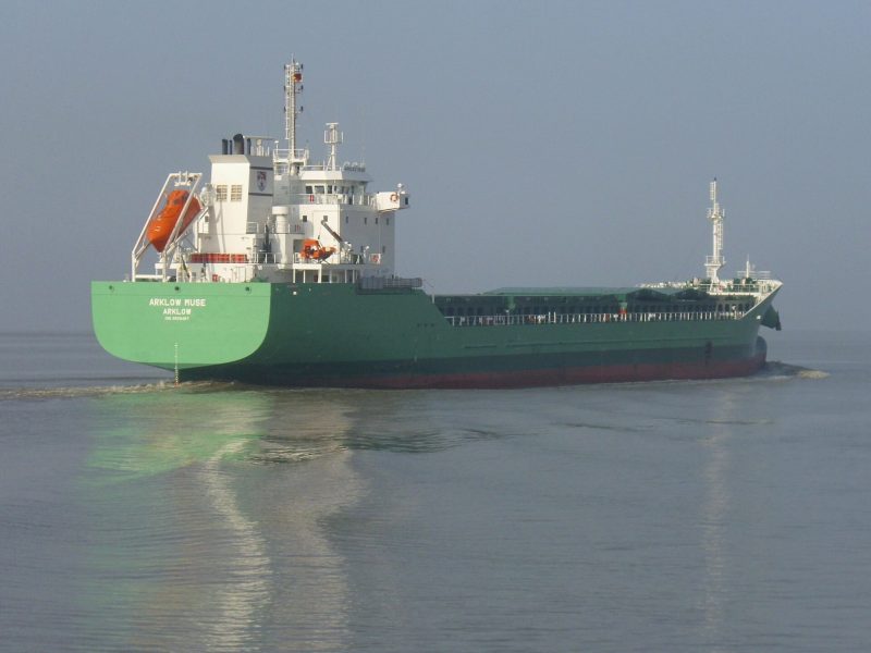 Arklow Muse, by Tvabutzku1234