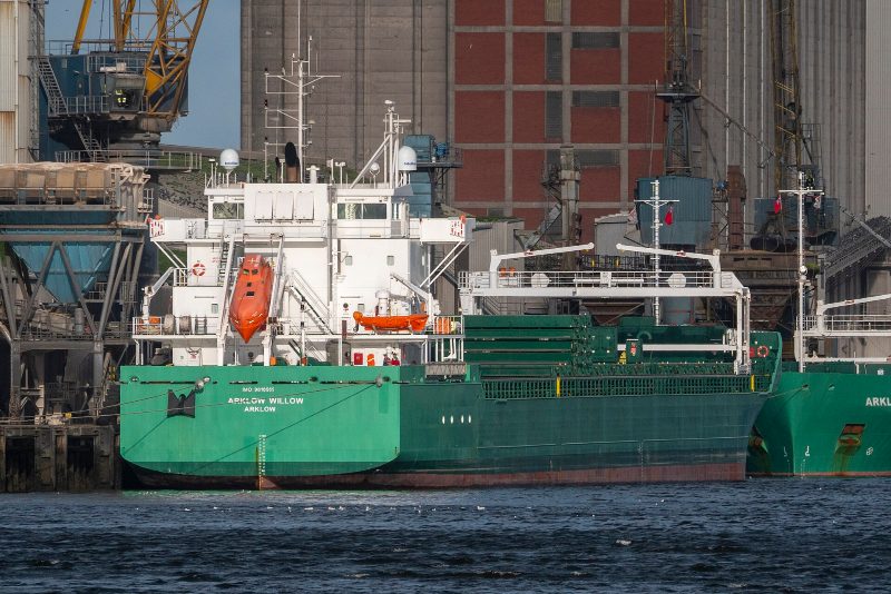 Arklow Willow, by Rossographer