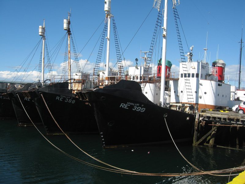 Hvalur 9 RE399, by Wurzeller