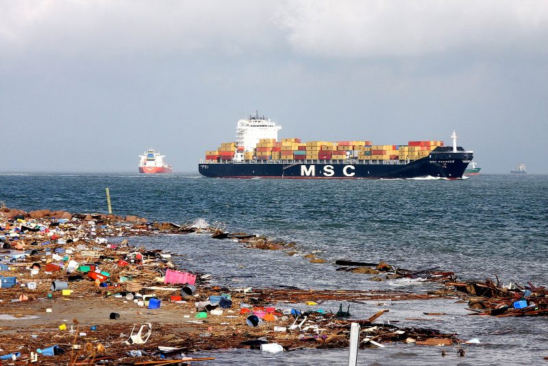 MSC Carouge, by Robert Kaufmann