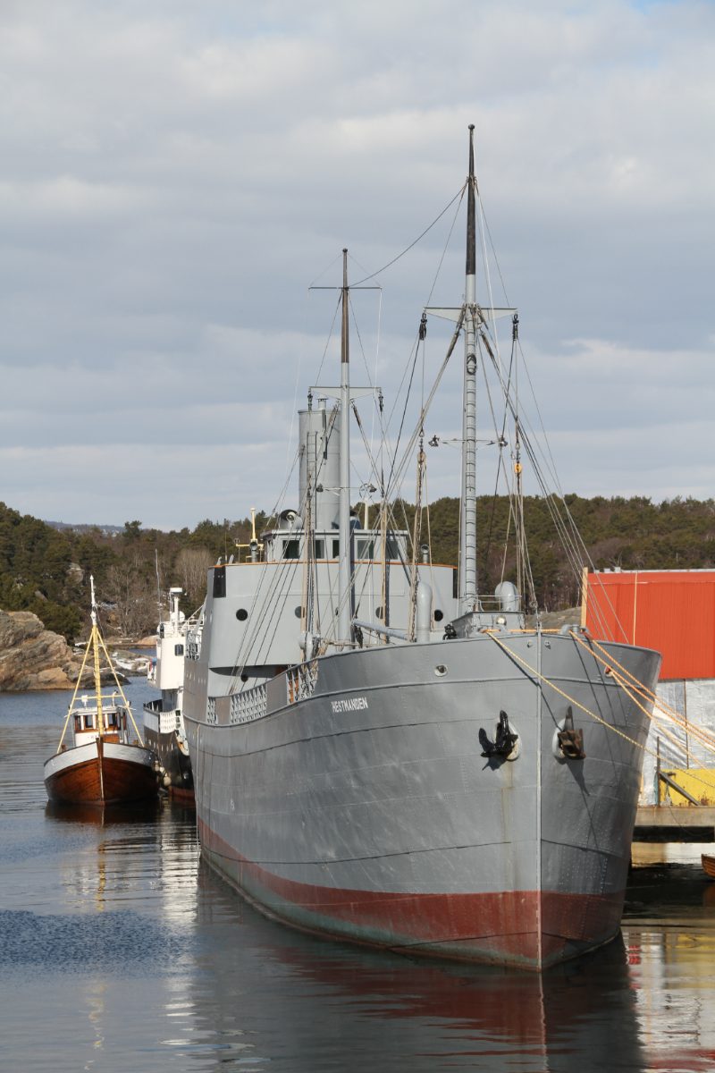 DS Hestmanden, by Bjoertvedt