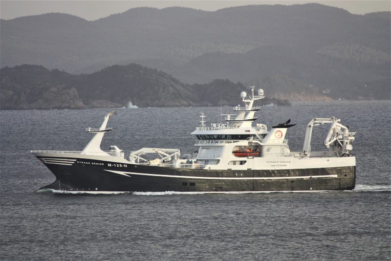 M-125-H Strand Senior, by Cavernia