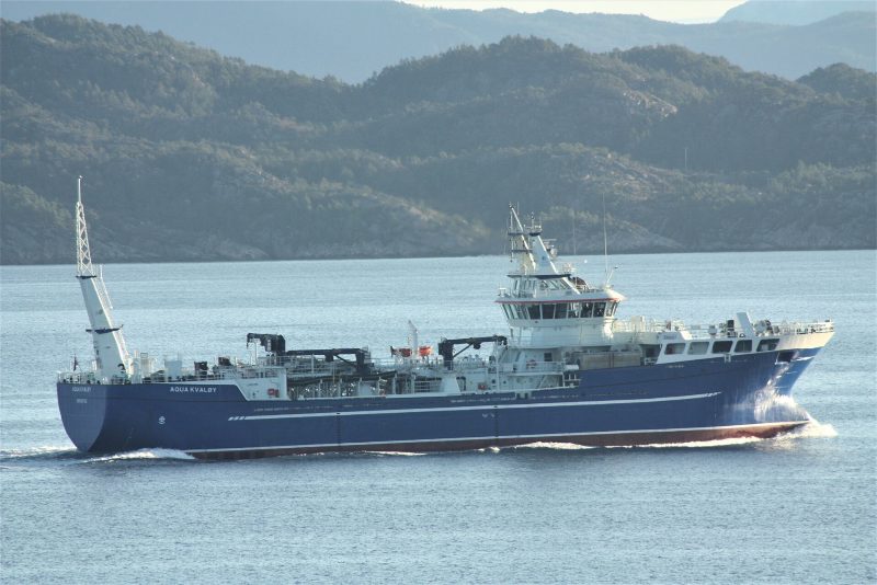 Aqua Kvaløy, by Cavernia