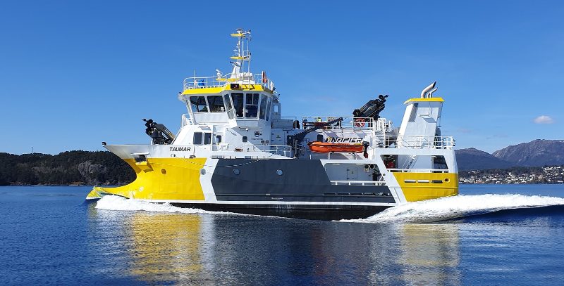 MS «Taumar», by Napier
