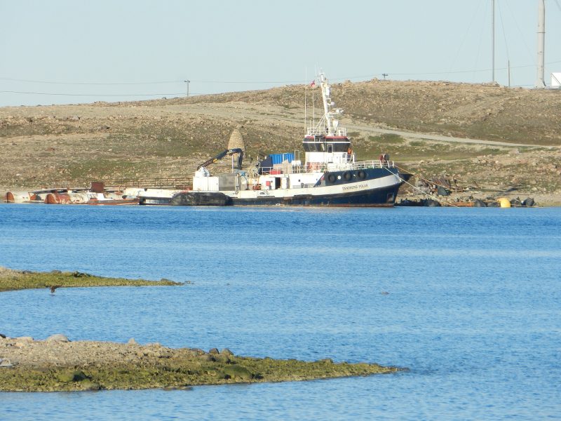 Tandberg Polar, by CambridgeBayWeather