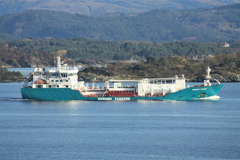 Bergen Viking, by Cavernia