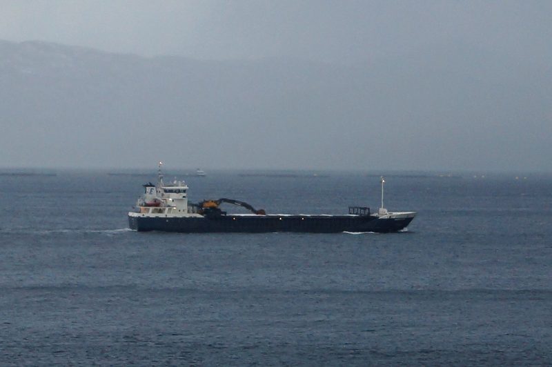 Vanguard, by Cavernia