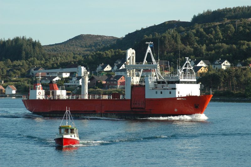 Terneskjær, by Efarestv
