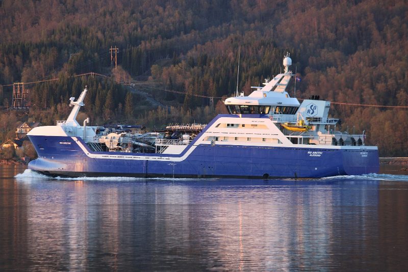 Ro Arctic, by PaskaSemmen113