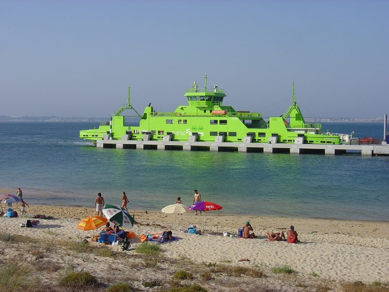 Pato Real, by Husond