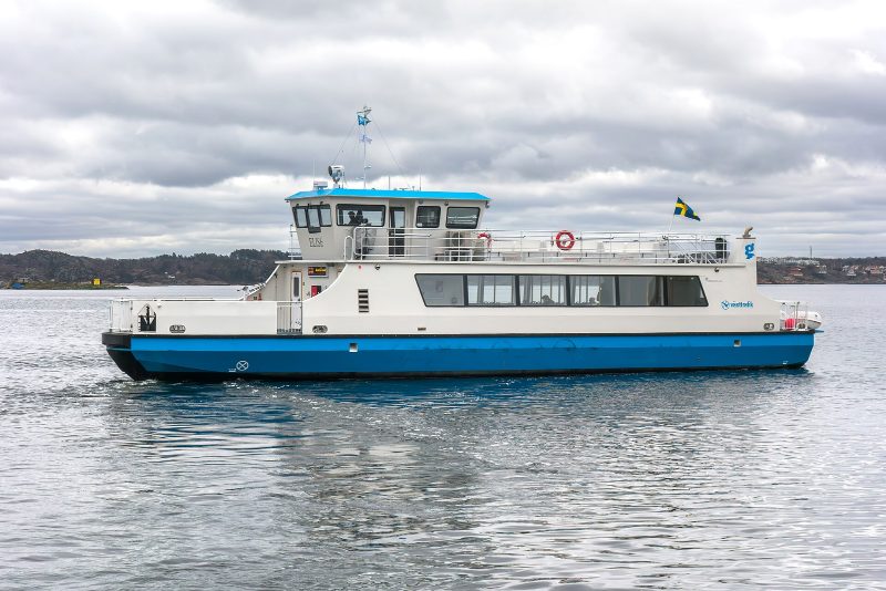 M/S Elise, by W.carter