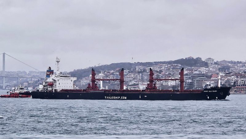 IMO 9226748, by Sergey A. Demidov