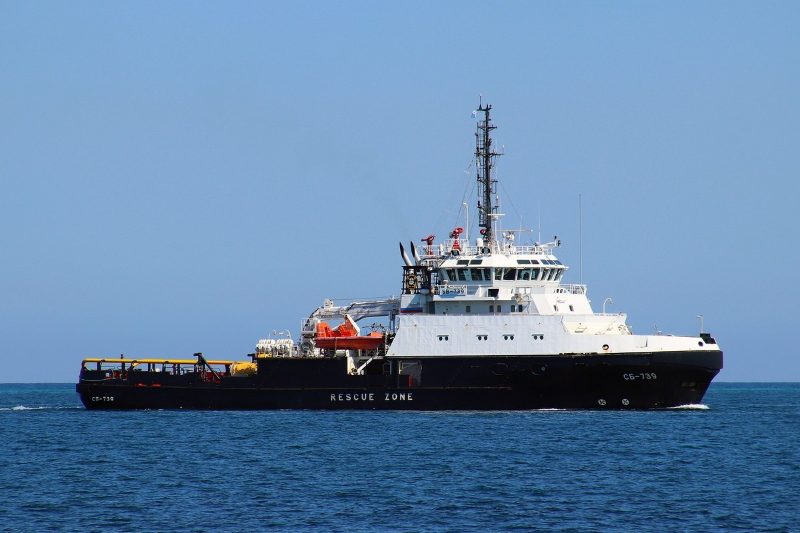 Spasatel Vasily Bekh (SB-739), by Unknown authorUnknown author