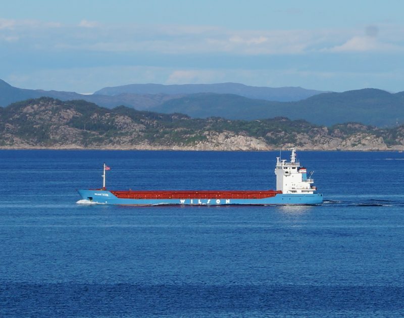Wilson Gijon, by Cavernia