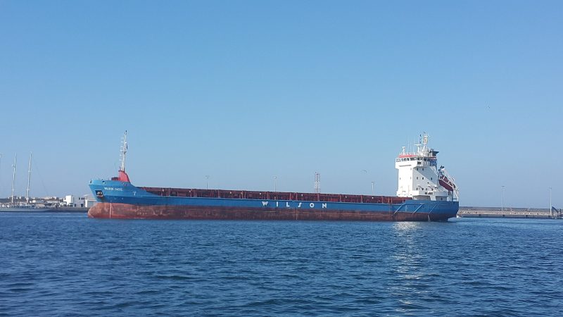 Wilson Cadiz, by Farid mernissi