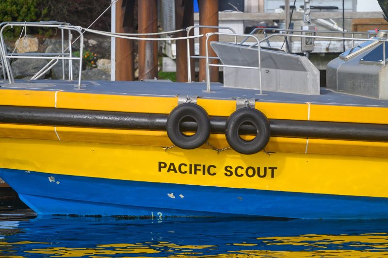 02 PACIFIC SCOUT, by Gordon Leggett