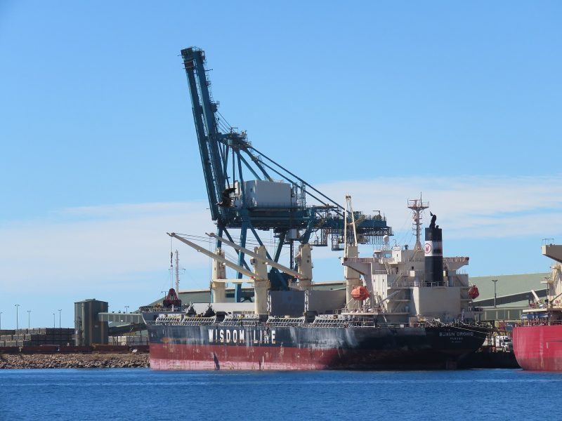 Bunun Orchid, by Calistemon
