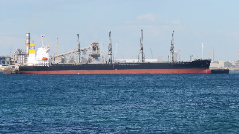 IMO 9959436, by Calistemon